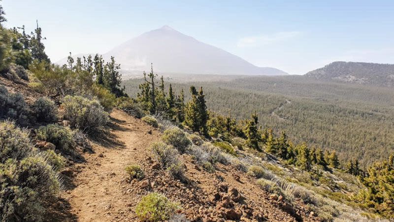 Alto de Guamaso Trail - Tenerife Easy Hike with Views of Mt Teide