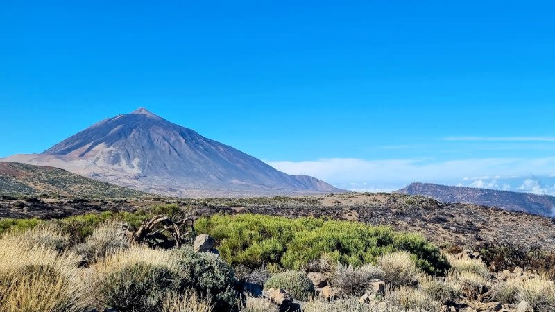 Best excursions and tours in Tenerife - 2024 Guide