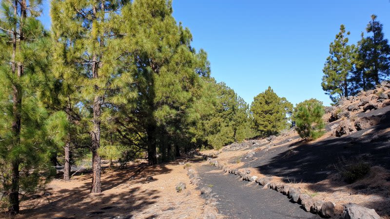 Best Hikes in Tenerife - Our Top 6 Favourite Hiking Trails