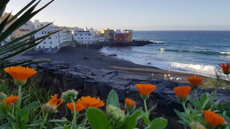 Popular beach in Tenerife closed due to contamination