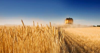 New rules in trading agricultural land in Romania applicable as of 13 October 2020 Agricultural land 1200x630