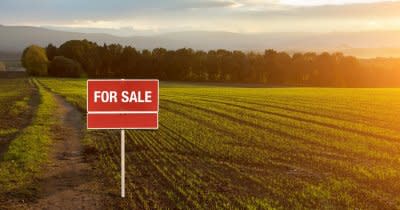Stratulat Albulescu advises Element Group on the acquisition of 2,7 hectares land plot at the entrance to Pitesti Element group 1200x630